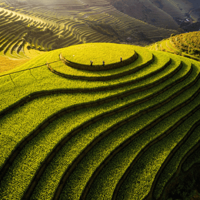 Mù Cang Chải - Điểm đến du lịch vùng Tây Bắc Việt Nam